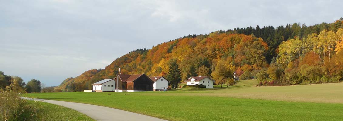 Herbstliche Blätter am Donauplanetenweg