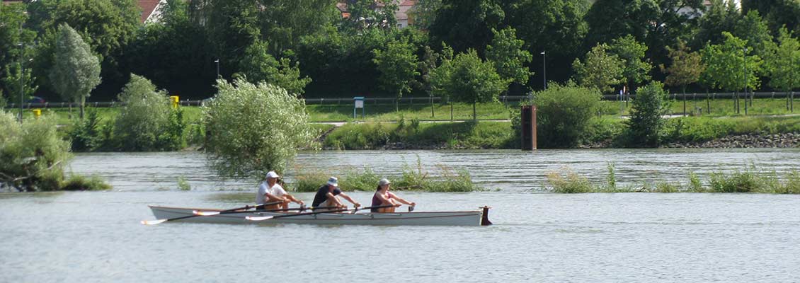 Ruderer auf der Donau - am Donauplanetenweg